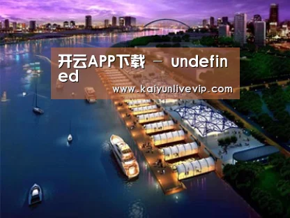 案例展示八