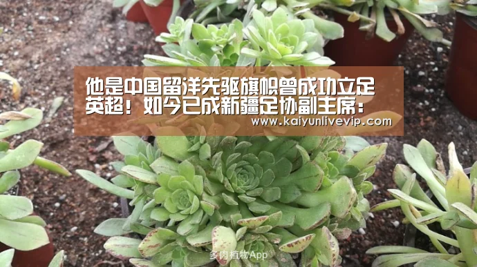开运登录