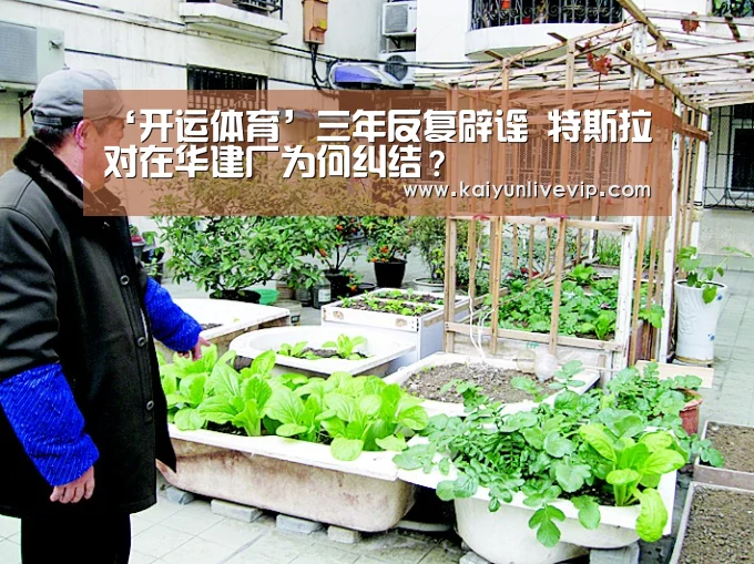 ‘开运体育’三年反复辟谣 特斯拉对在华建厂为何纠结?(图1) 开运下载