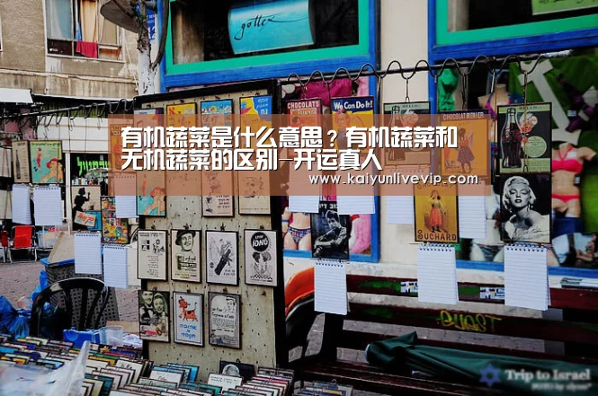 开运下载