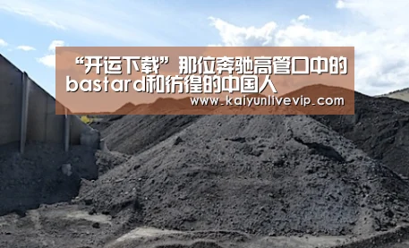 “开运下载”那位奔驰高管口中的bastard和彷徨的中国人(图1) 开运下载